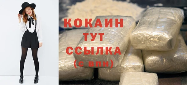 мдпв Верхний Тагил