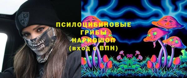 эйфоретик Верея