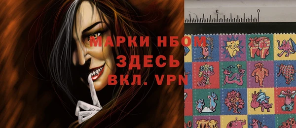 мдпв Верхний Тагил