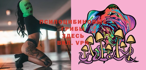 мдпв Верхний Тагил