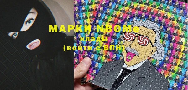 мдпв Верхний Тагил