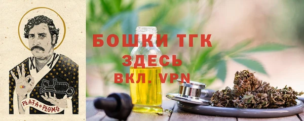 мдпв Верхний Тагил