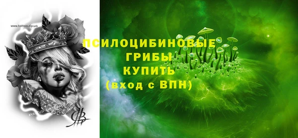 мдпв Верхний Тагил