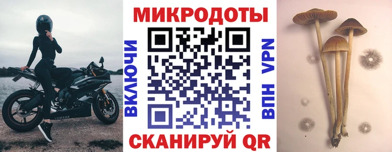 Галлюциногенные грибы Magic Shrooms  Елец 